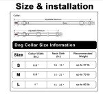 Adjustable Nylon Dog Collar with Fun Patterns