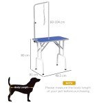 Blue Foldable Dog Grooming Table with Adjustable Arm