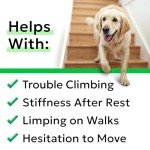 BARK&SPARK Joint Chews for Senior Dogs - 60 Count