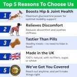 BARK&SPARK Joint Chews for Senior Dogs - 60 Count