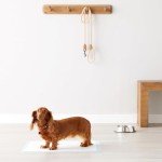 Heavy Duty Leakproof Dog Training Pads - 50 Pack