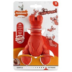 Nylabone Tough Lobster Chew Toy for Extreme Chewers