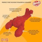 Nylabone Tough Lobster Chew Toy for Extreme Chewers