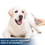 Professional Stainless Steel Dog Grooming Scissors - 6.5