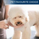 Professional Stainless Steel Dog Grooming Scissors - 6.5