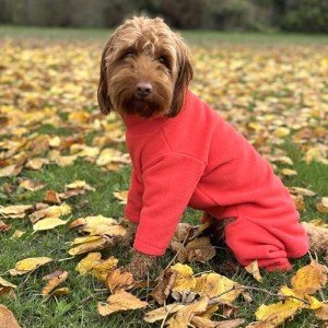 Cozy Coral Fleece Dog Jacket – Small Size
