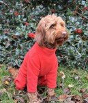 Cozy Coral Fleece Dog Jacket – Small Size