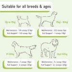 Lillidale ProJoint - Dog Joint Supplement 500g