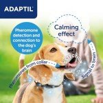 Adaptil Calm Collar for Medium/Large Dogs
