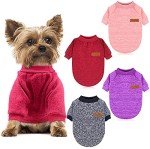 Cozy Knit Sweater Set for Small Dogs