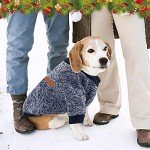 Cozy Knit Sweater Set for Small Dogs