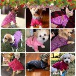 Cozy Knit Sweater Set for Small Dogs