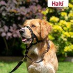 Halti Headcollar Size 2 Black for Medium Dogs