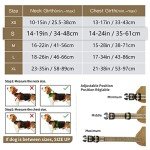 HEELE No Pull Dog Harness for All Sizes