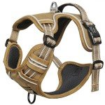 HEELE No Pull Dog Harness for All Sizes