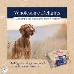 Hollings Mini Roast Bone for Adult Dogs