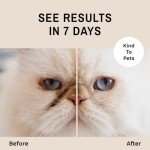 Eye Envy Tear Stain Remover Powder - Extra Large