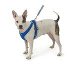 Adjustable Step-In Dog Harness for All Sizes