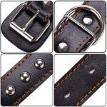 SweetyMooMoo Leather Dog Collar for Large Dogs