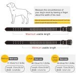SweetyMooMoo Leather Dog Collar for Large Dogs