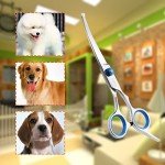 Curved Dog Grooming Scissors with Safety Tip