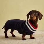 Navy Knit Winter Sweater for Small Dogs