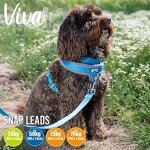 Ancol Viva Soft Touch Padded Dog Lead - Black