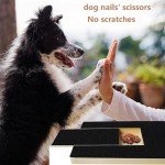 Multifunctional Dog Scratch Pad with Treat Box