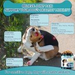 200 Allergy Relief Treats for Dogs - Chicken Flavor