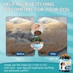 200 Allergy Relief Treats for Dogs - Chicken Flavor