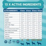 200 Allergy Relief Treats for Dogs - Chicken Flavor