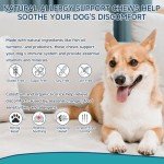 200 Allergy Relief Treats for Dogs - Chicken Flavor