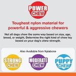 Nylabone Power Chew Value Pack for Small Dogs