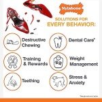 Nylabone Power Chew Value Pack for Small Dogs