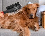 2-Sided Dog Brush for Shedding and Grooming