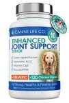 High-Strength Joint Supplement for Senior Dogs