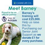 High-Strength Joint Supplement for Senior Dogs