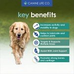 High-Strength Joint Supplement for Senior Dogs
