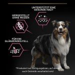 Pro Plan Medium Adult Sensitive Skin Dog Food