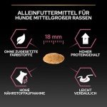 Pro Plan Medium Adult Sensitive Skin Dog Food