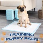 100 Pack Leakproof Puppy Training Pads - 60x60 cm