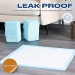 100 Pack Leakproof Puppy Training Pads - 60x60 cm
