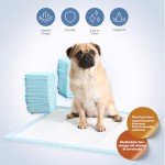 100 Pack Leakproof Puppy Training Pads - 60x60 cm