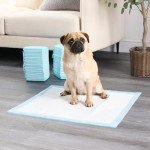 100 Pack Leakproof Puppy Training Pads - 60x60 cm