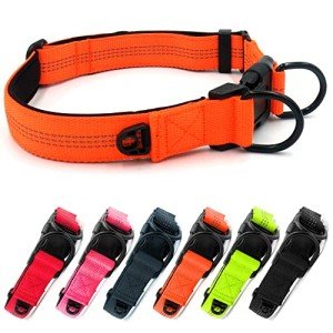 Adjustable Reflective Dog Collar for Small Dogs