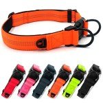 Adjustable Reflective Dog Collar for Small Dogs