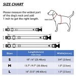 Adjustable Reflective Dog Collar for Small Dogs