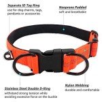 Adjustable Reflective Dog Collar for Small Dogs
