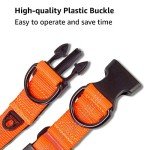 Adjustable Reflective Dog Collar for Small Dogs