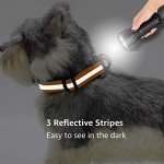 Adjustable Reflective Dog Collar for Small Dogs